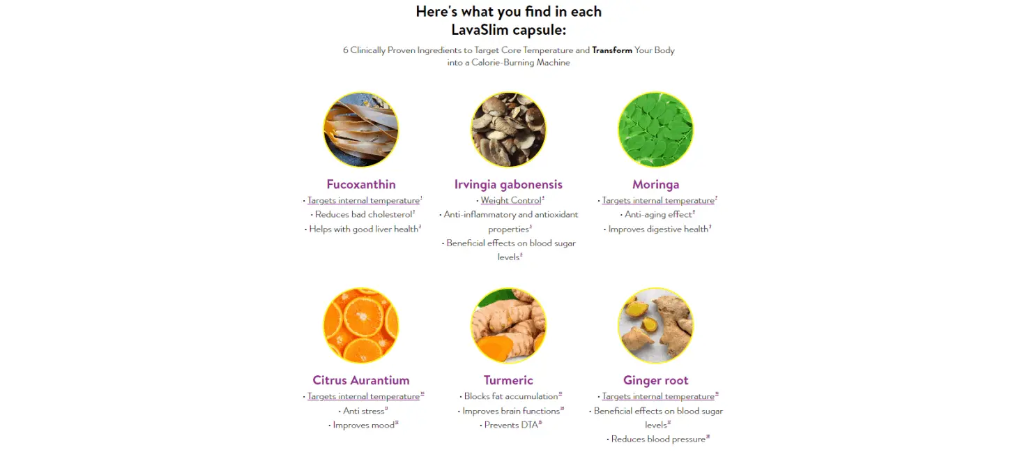 lavaslim supplement ingredients